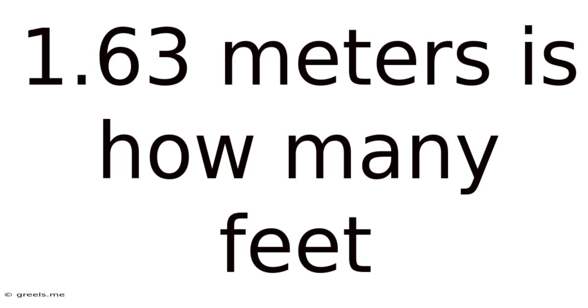 1.63 Meters Is How Many Feet