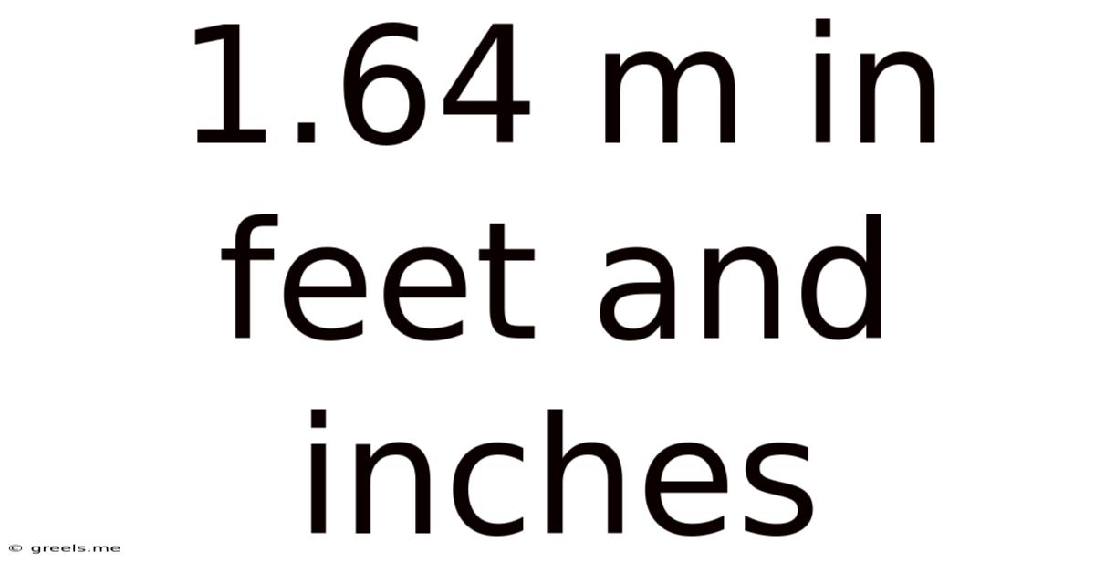 1.64 M In Feet And Inches
