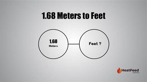 1.68 M Is How Many Feet