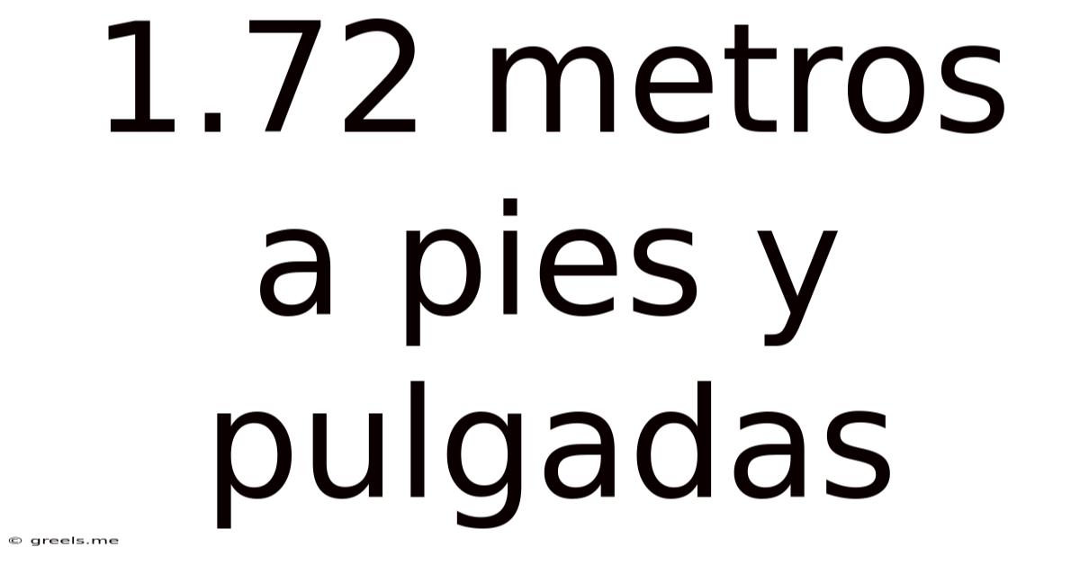 1.72 Metros A Pies Y Pulgadas
