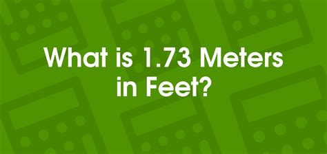 1.73 M Is How Many Feet