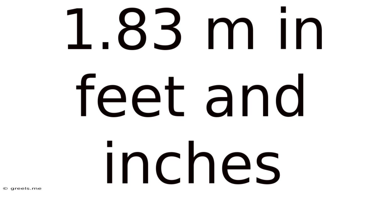 1.83 M In Feet And Inches