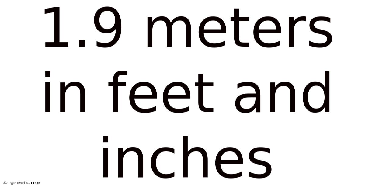 1.9 Meters In Feet And Inches