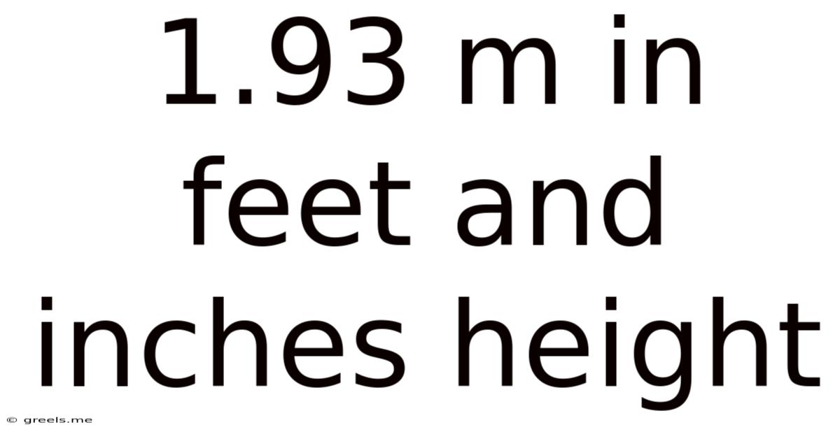 1.93 M In Feet And Inches Height