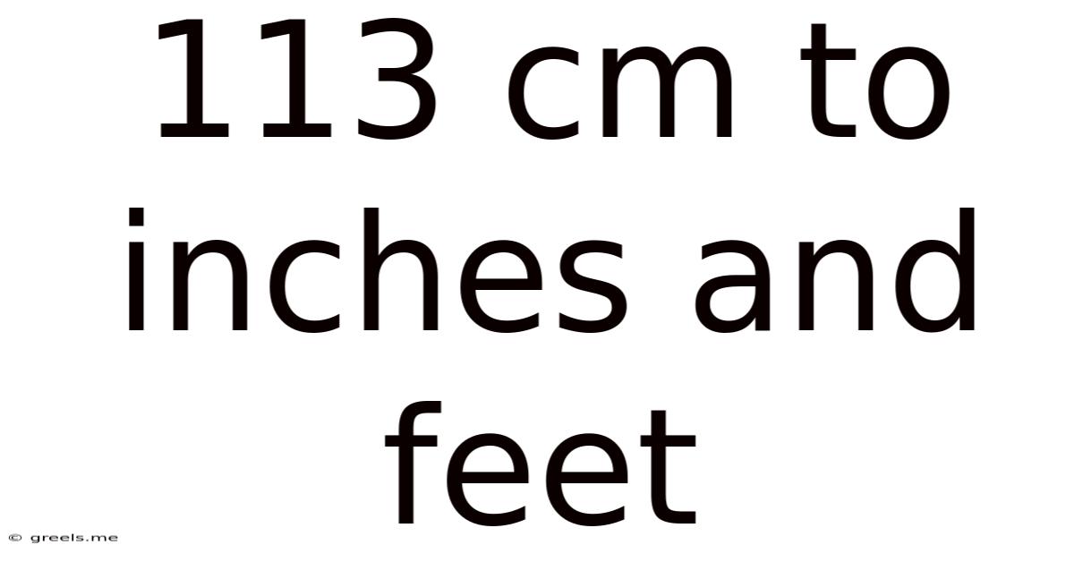 113 Cm To Inches And Feet