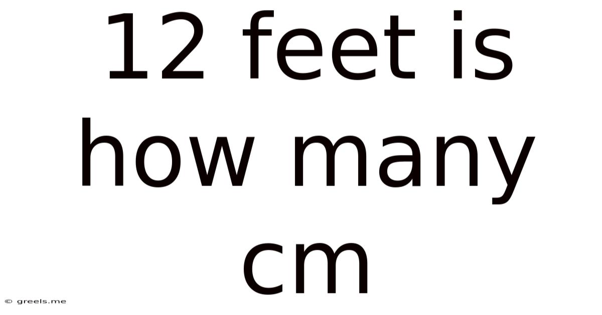 12 Feet Is How Many Cm