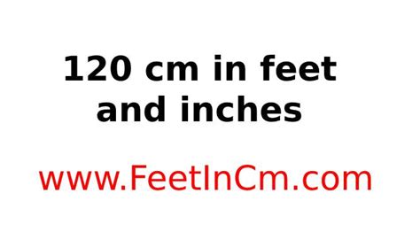 120 Cm To Inches To Feet