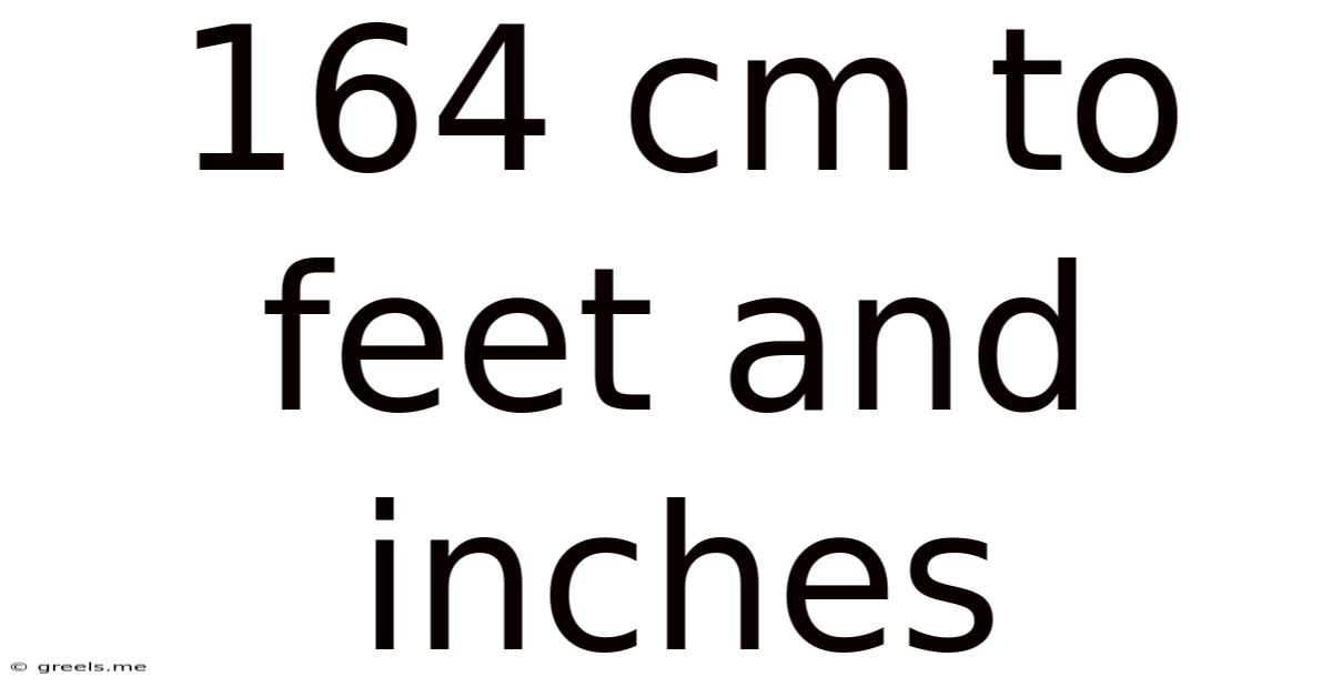 164 Cm To Feet And Inches