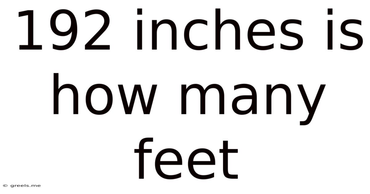 192 Inches Is How Many Feet