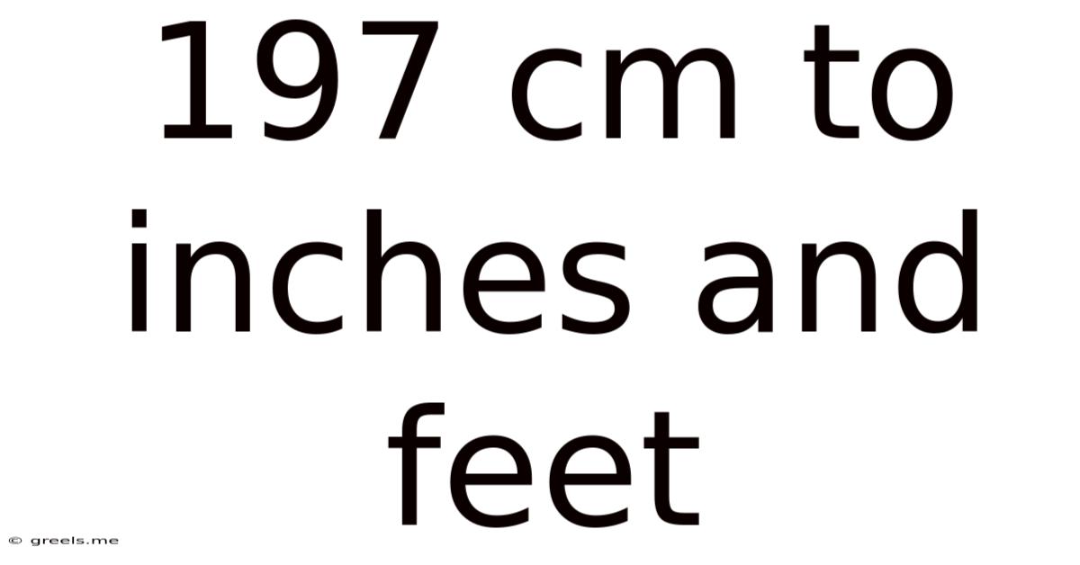 197 Cm To Inches And Feet