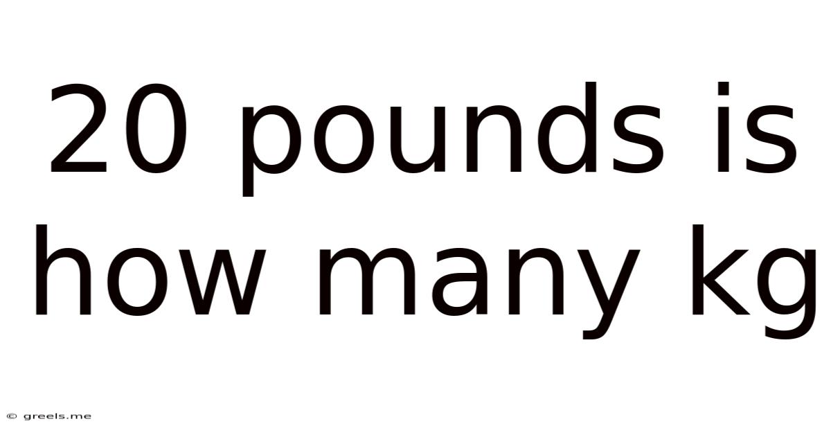 20 Pounds Is How Many Kg