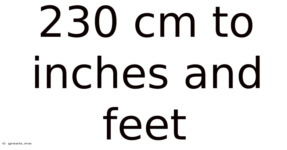230 Cm To Inches And Feet
