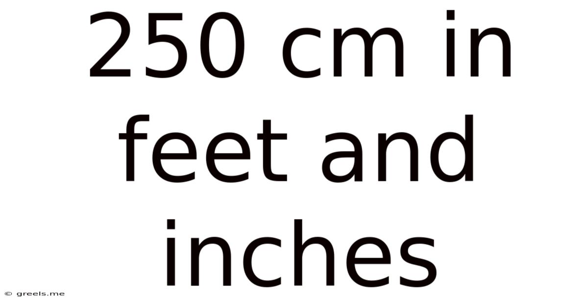 250 Cm In Feet And Inches