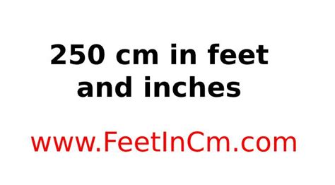 250 Cm In Inches And Feet