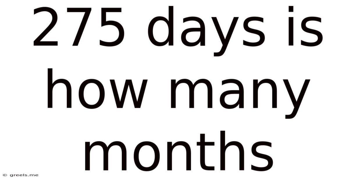275 Days Is How Many Months