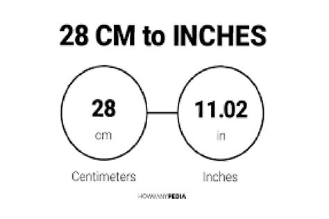 28 Cm Is How Many Inches