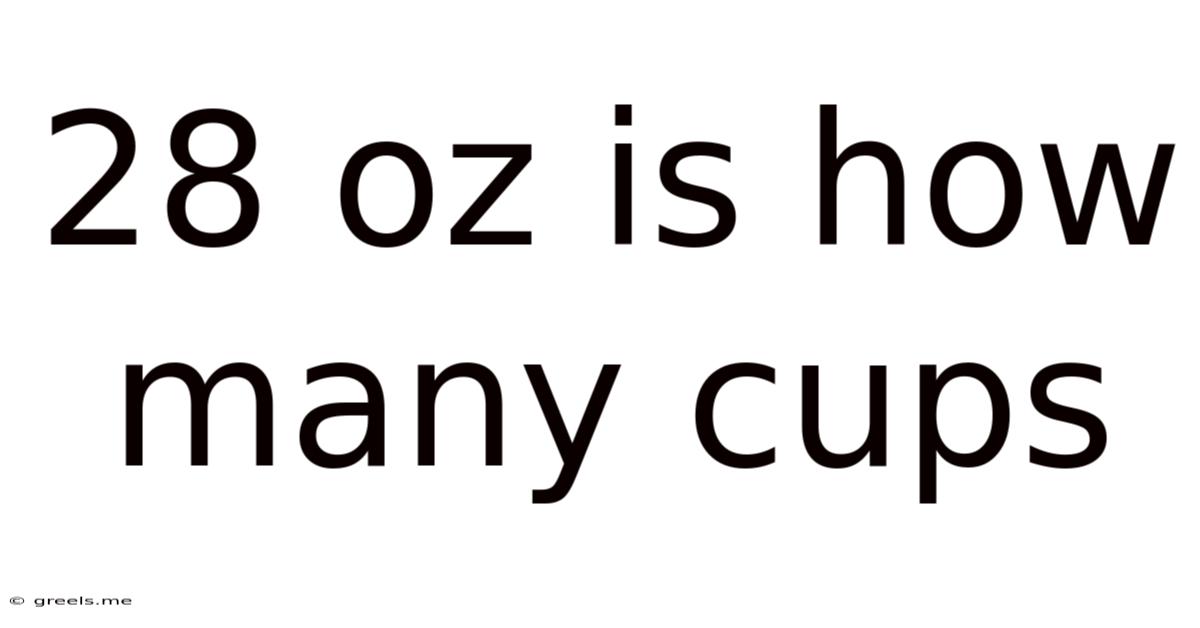 28 Oz Is How Many Cups