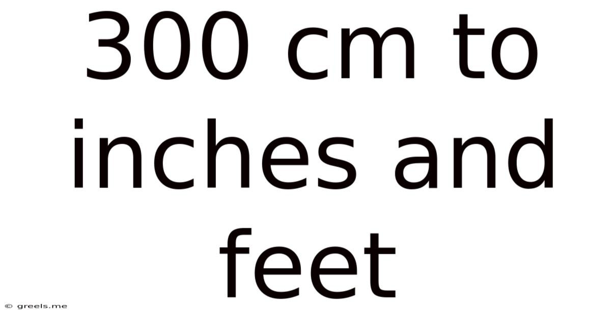 300 Cm To Inches And Feet
