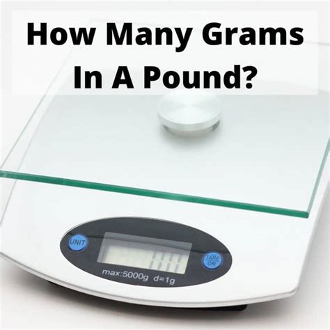 300 Grams Is How Many Pounds