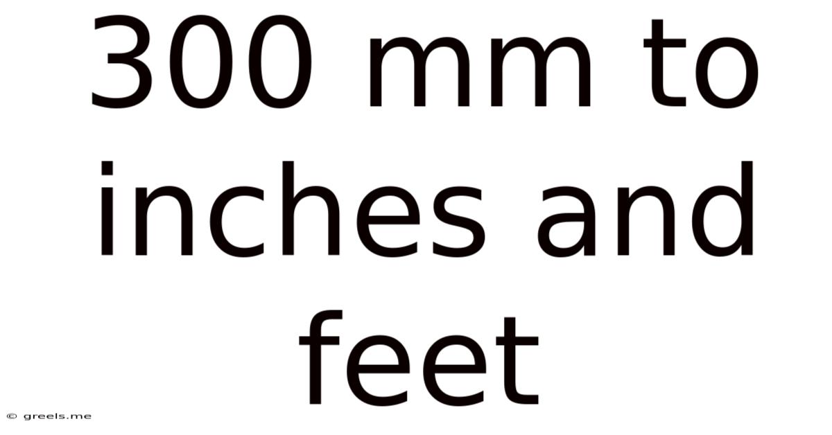 300 Mm To Inches And Feet