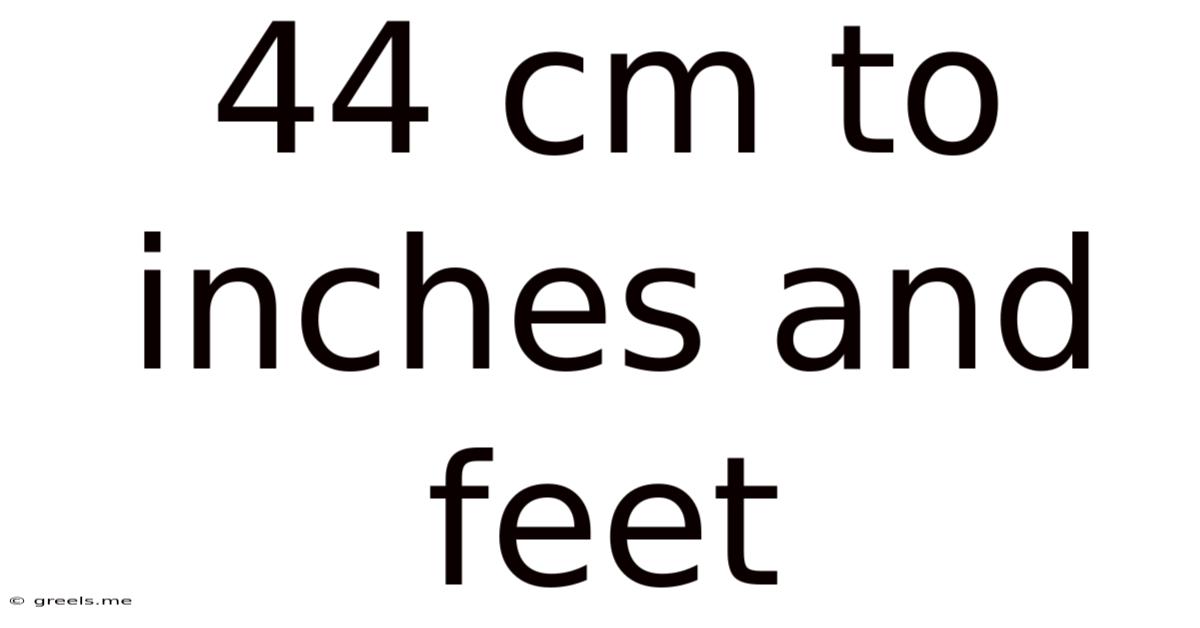 44 Cm To Inches And Feet