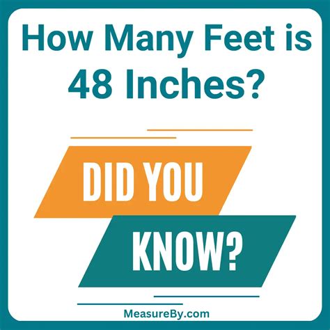 48 In Is How Many Feet