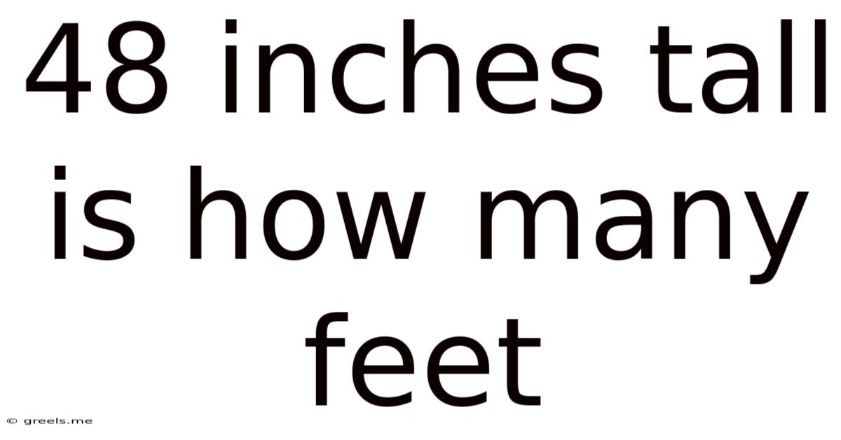 48 Inches Tall Is How Many Feet