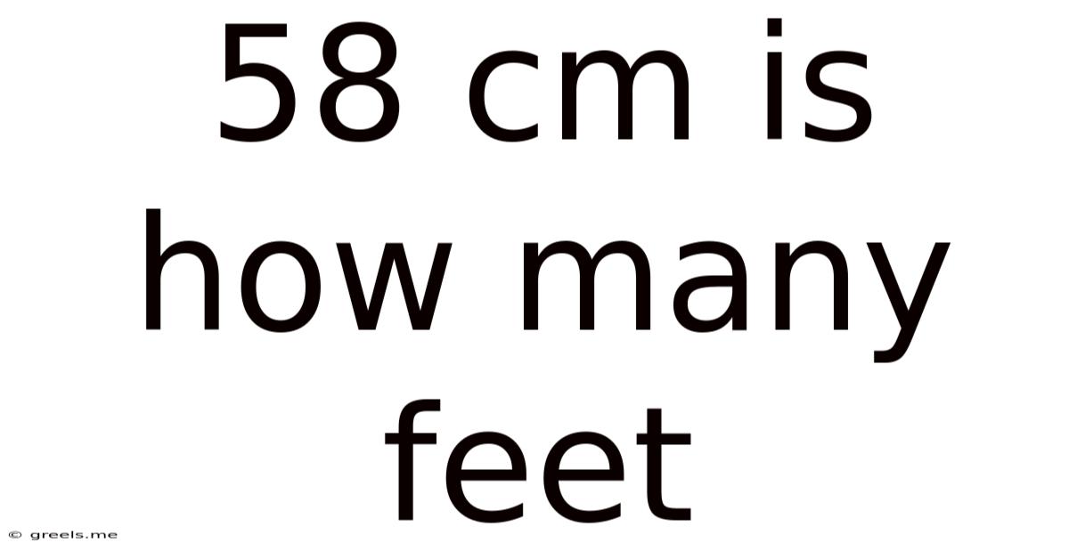 58 Cm Is How Many Feet