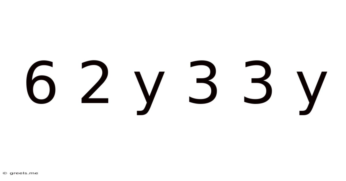 6 2 Y 3 3 Y