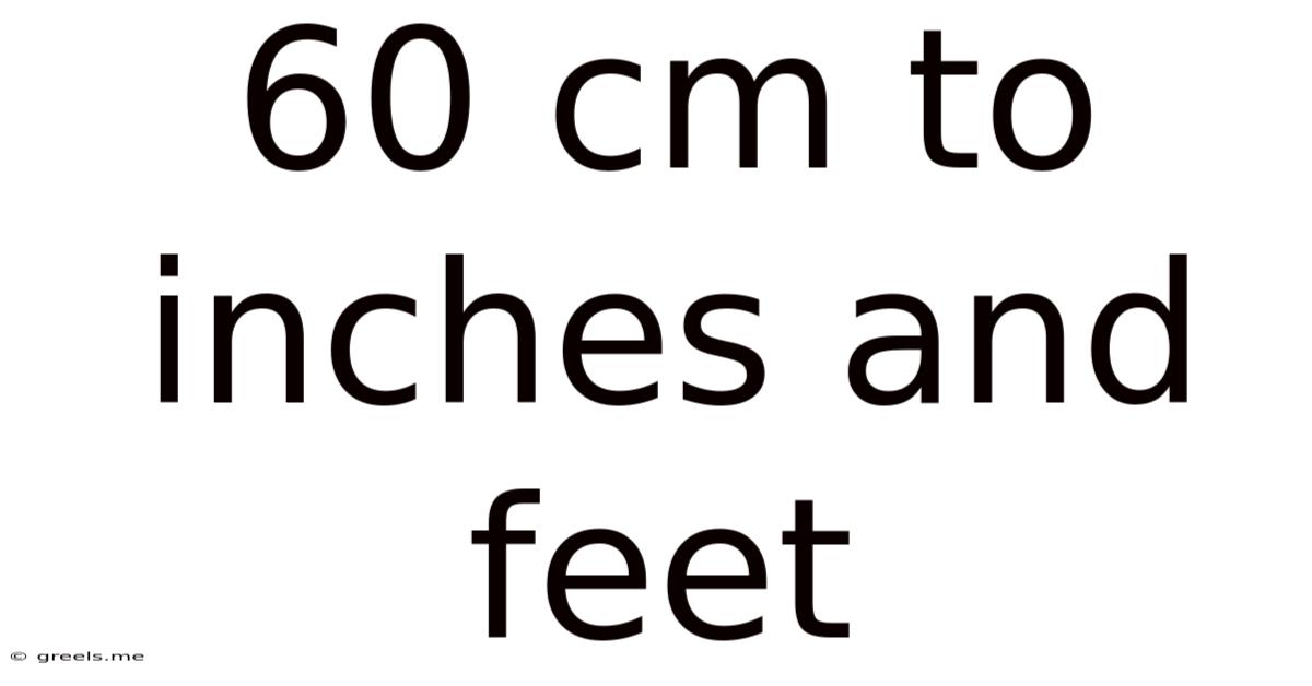 60 Cm To Inches And Feet