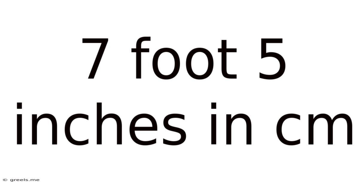 7 Foot 5 Inches In Cm