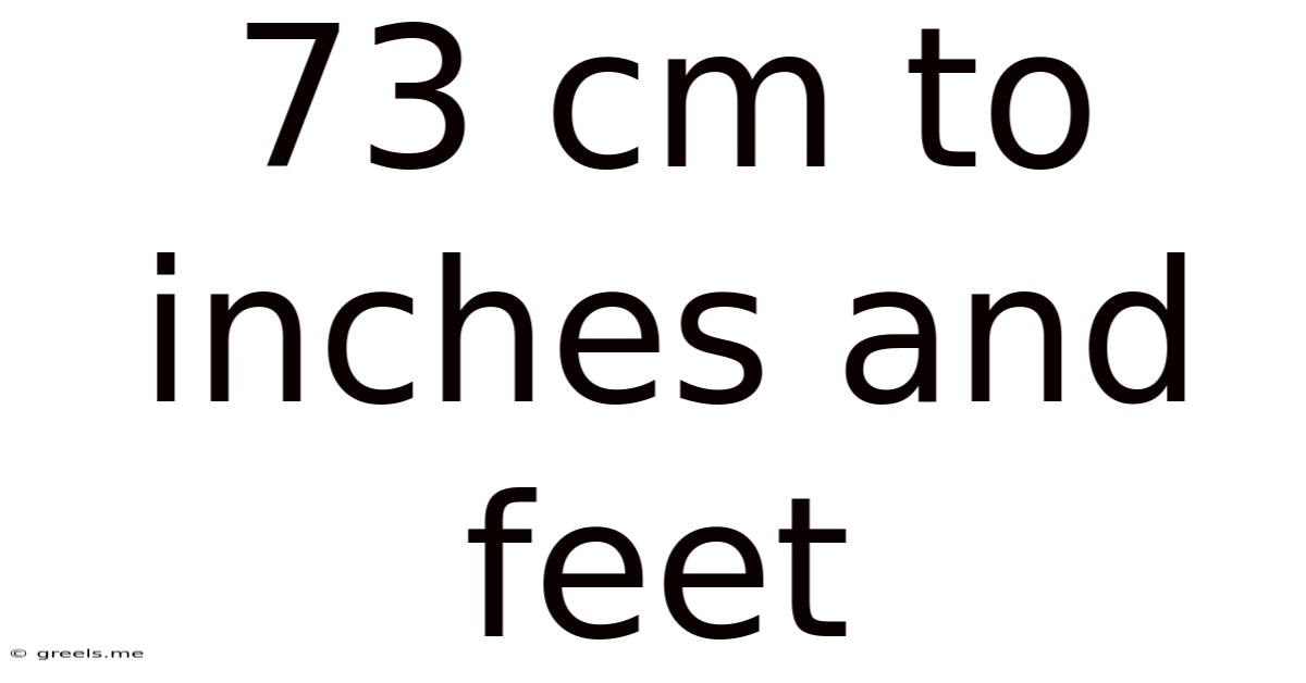 73 Cm To Inches And Feet