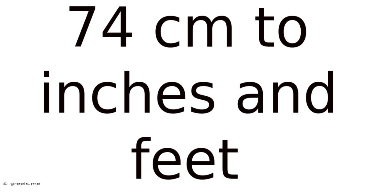 74 Cm To Inches And Feet