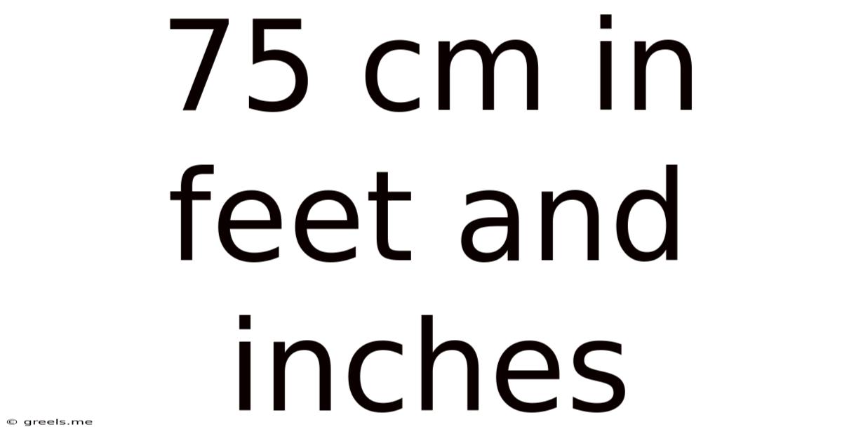 75 Cm In Feet And Inches