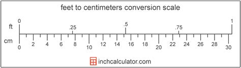 75 Cm To Inches And Feet