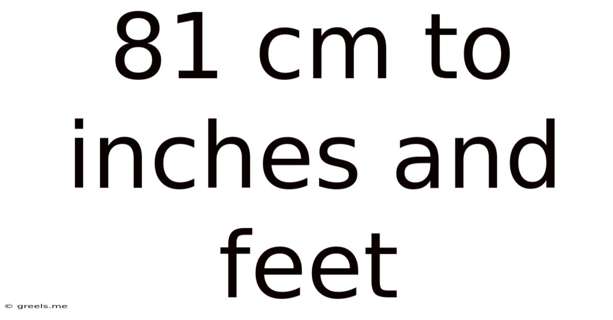 81 Cm To Inches And Feet