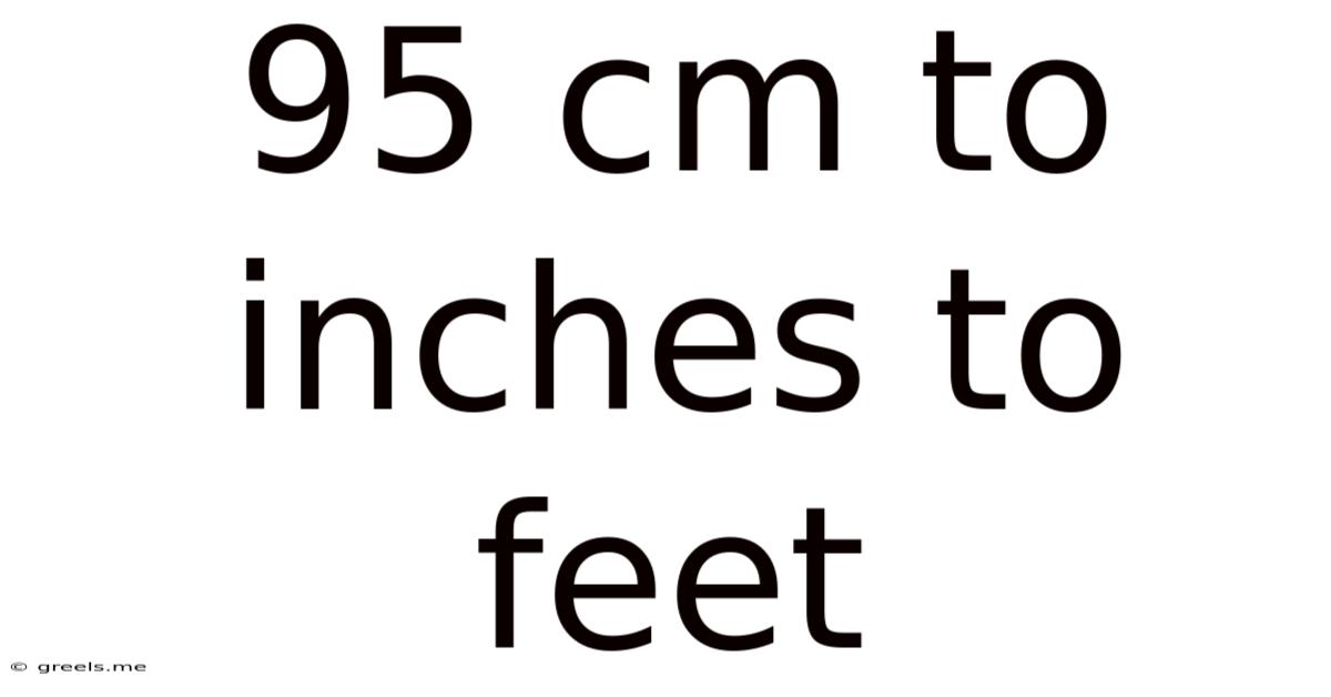 95 Cm To Inches To Feet