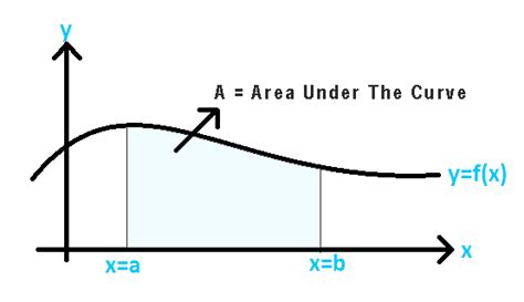 Finding The Area Under The Curve Calculator