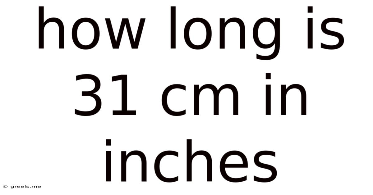How Long Is 31 Cm In Inches