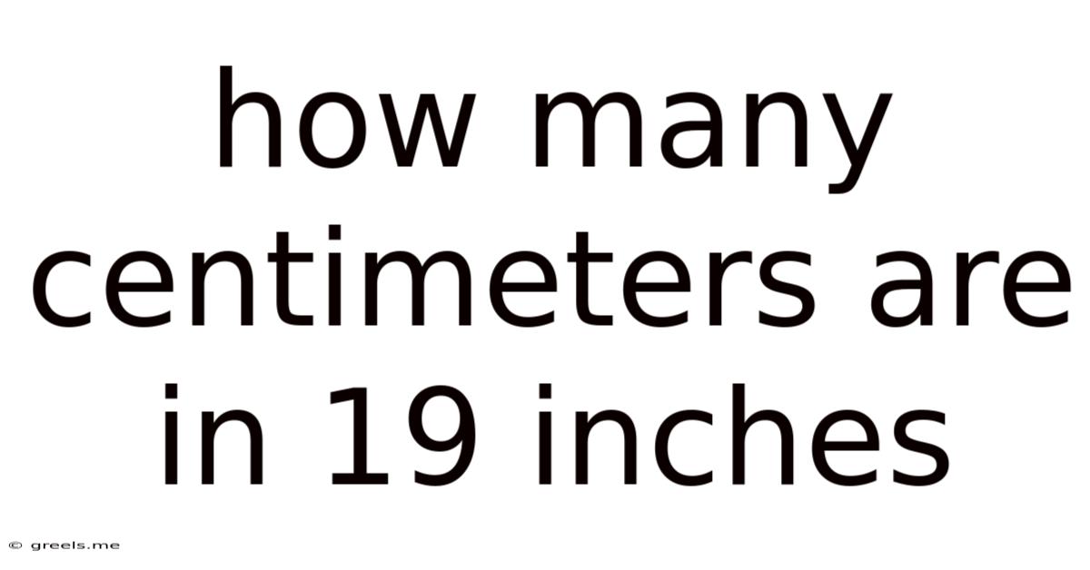 How Many Centimeters Are In 19 Inches