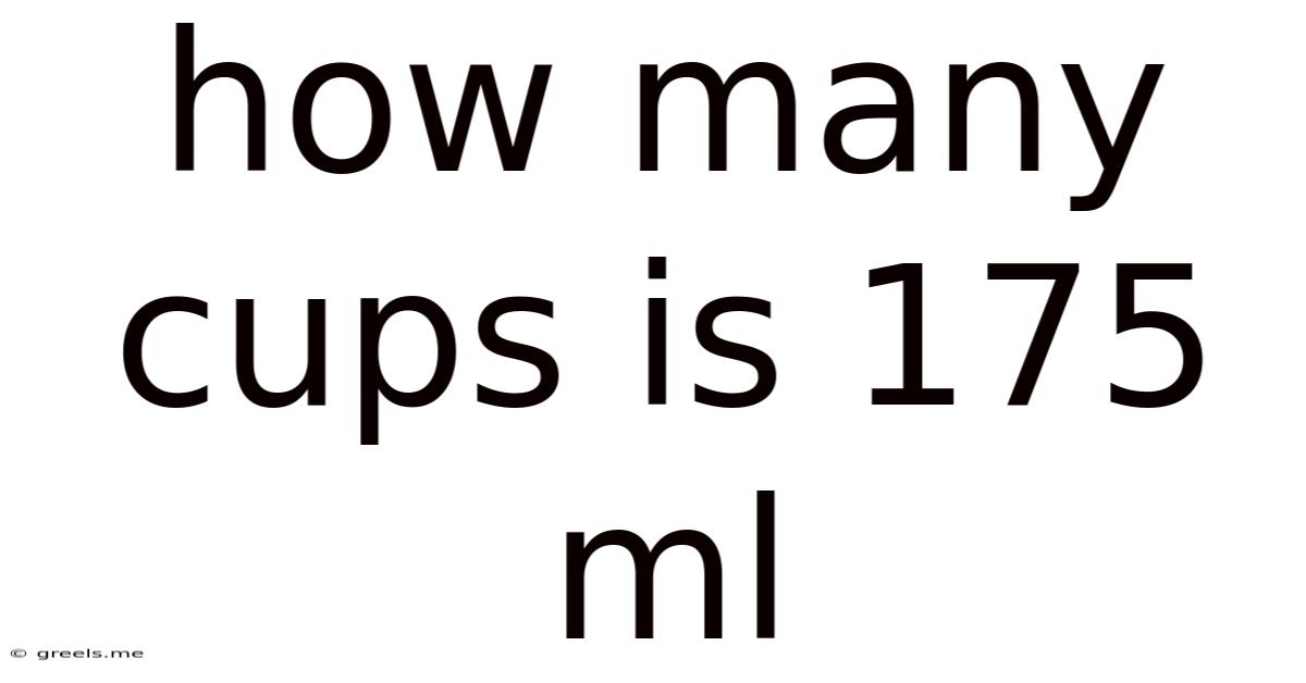 How Many Cups Is 175 Ml