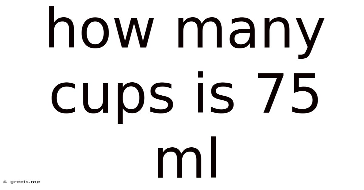 How Many Cups Is 75 Ml