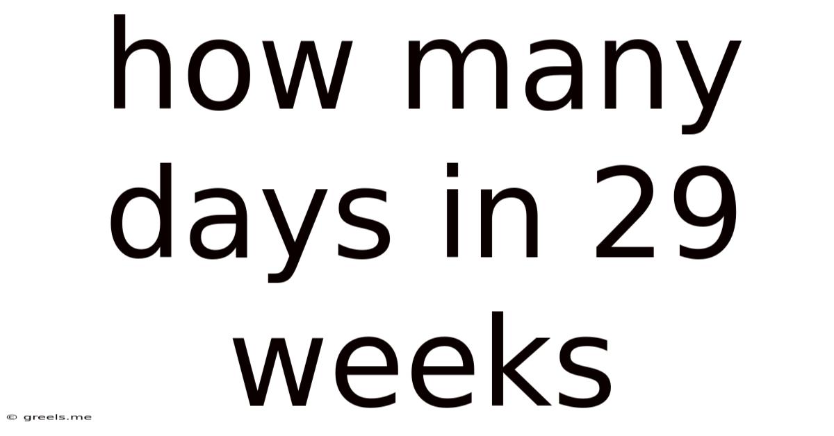 How Many Days In 29 Weeks