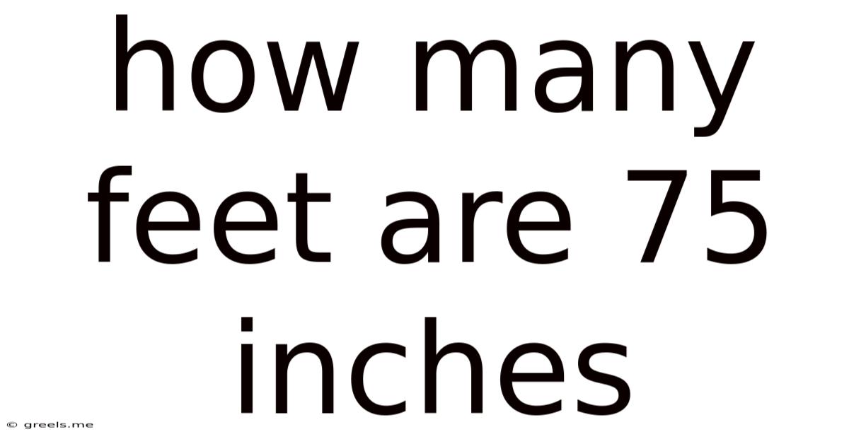 How Many Feet Are 75 Inches