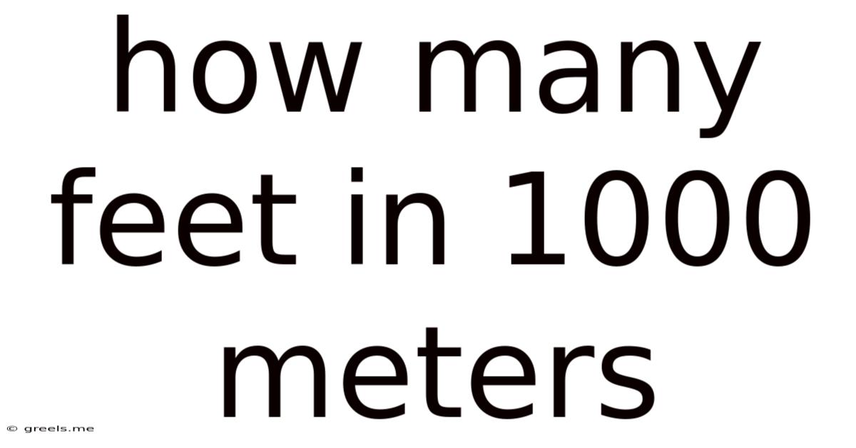 How Many Feet In 1000 Meters