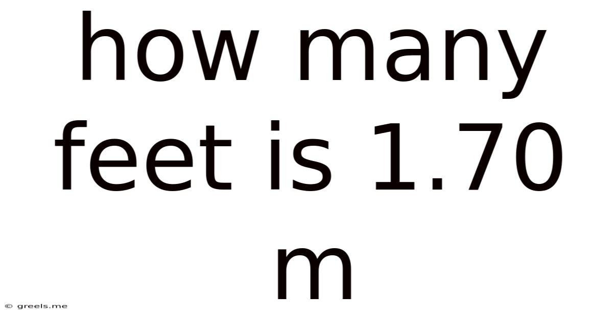 How Many Feet Is 1.70 M