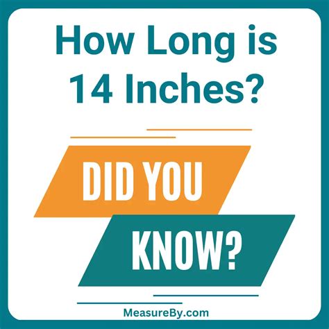 How Many Feet Is 14 Inches