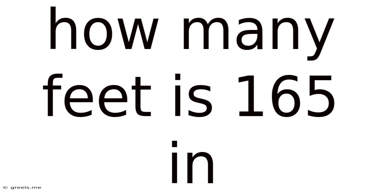 How Many Feet Is 165 In
