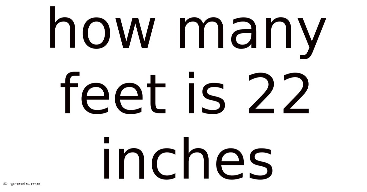 How Many Feet Is 22 Inches