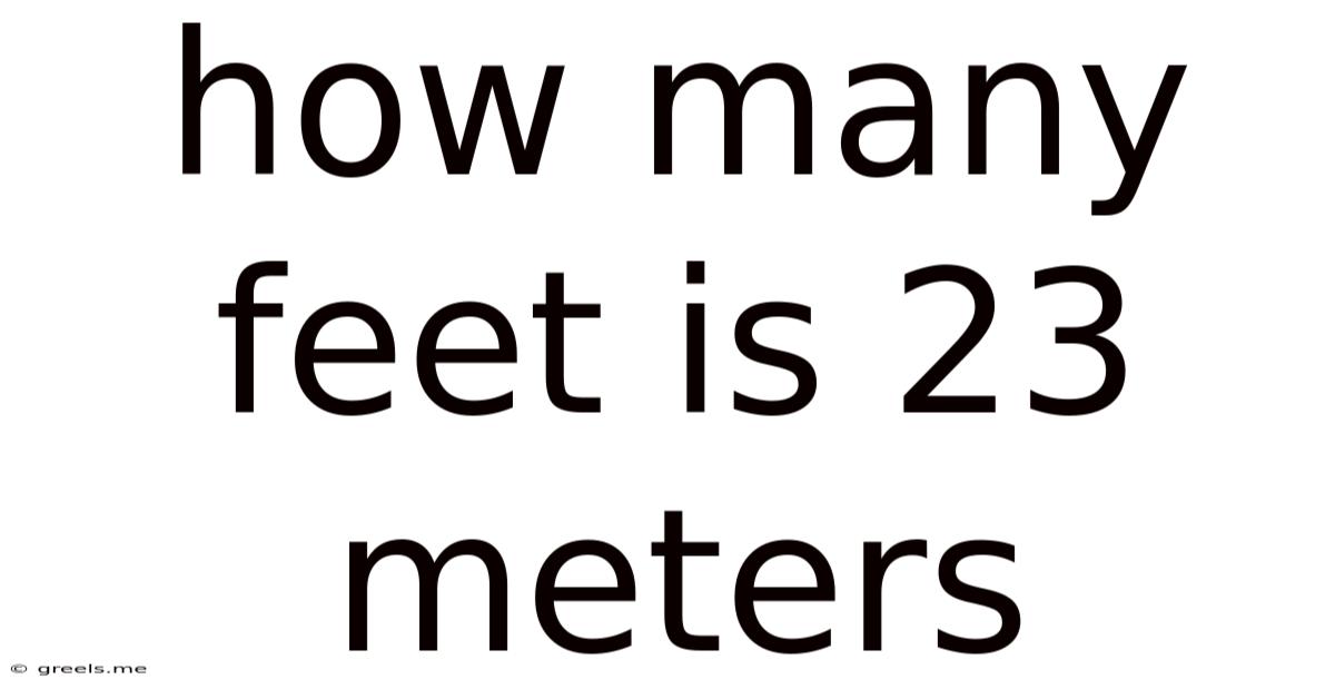 How Many Feet Is 23 Meters
